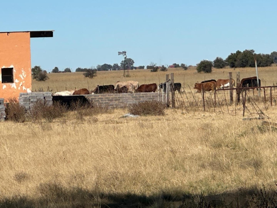 Commercial Property for Sale in Leeudoringstad North West